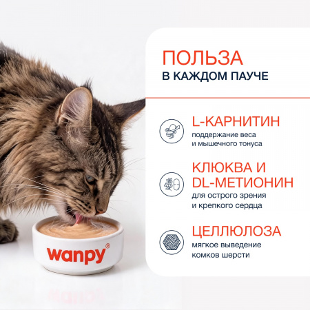 Лакомство Wanpy Cat для взрослых стерилизованных кошек, нежное пюре из тунца с клюквой, 70г