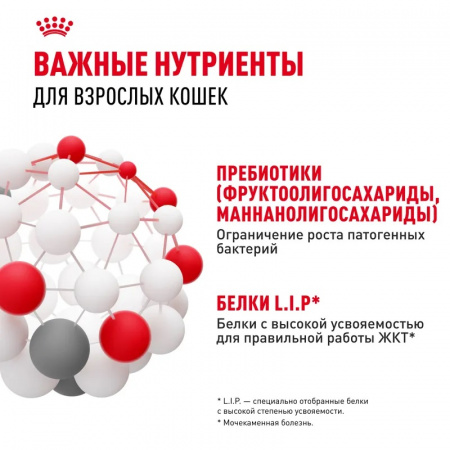 Сухой корм ROYAL CANIN Digestive care для взрослых кошек с чувствительной пищеварительной системой старше 1 года, 2кг