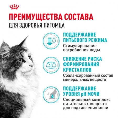 Сухой корм ROYAL CANIN Urinary Care для взрослых кошек для поддержания здоровья мочевыделительной системы, 400г