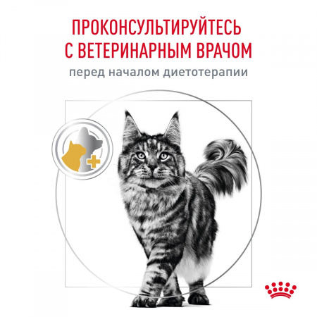 Сухой корм ROYAL CANIN Urinary S/O Moderate Calorie для взрослых кошек, склонных к набору лишнего веса, при мочекаменной болезни, 7 кг