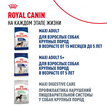 Влажный корм ROYAL CANIN Maxi Puppy для щенков крупных пород до 15 месяцев, кусочки в соусе, 100г