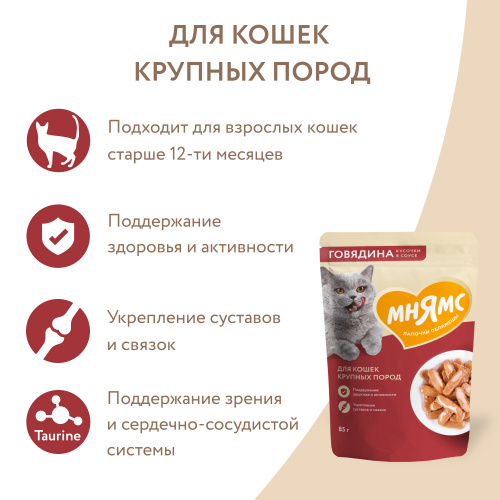 с говядиной для круп кошек5