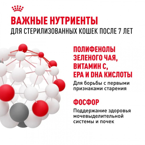 88b781f1-fe32-4f74-8680-c0cfe9b266cd