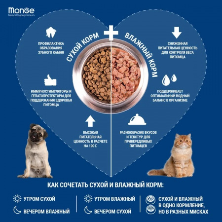 Влажный корм Monge Dog Fresh для взрослых собак, с ягненком, 100г