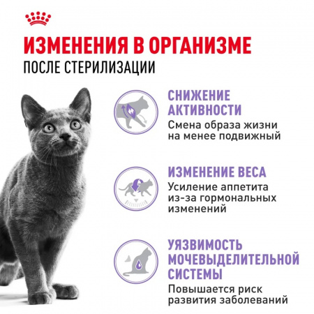 Сухой корм ROYAL CANIN Sterilised-37 для стерилизованных кошек в возрасте от 1 года до 7 лет, 400г