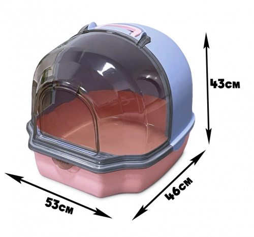 MSP-2025 (2)