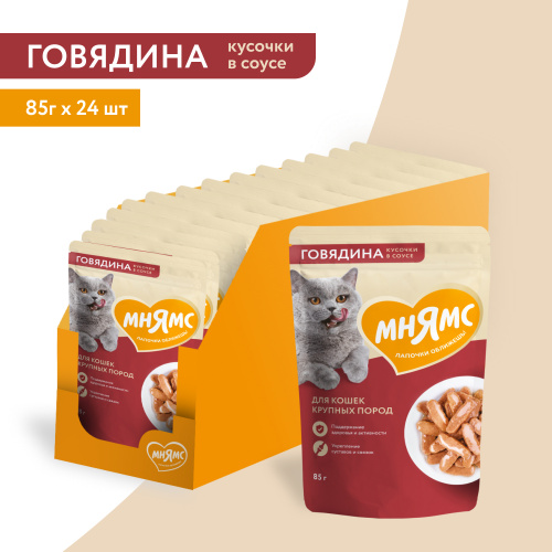 с говядиной для круп кошек3