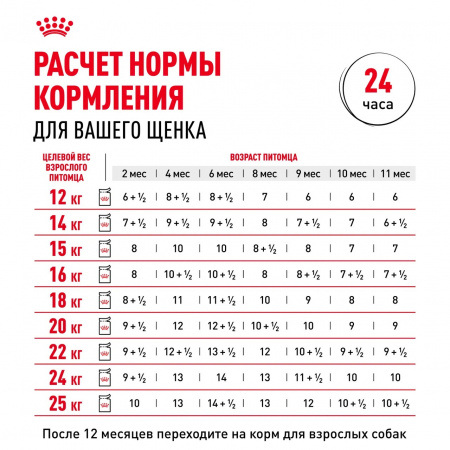 Влажный корм ROYAL CANIN Medium Puppy для щенков средних пород до 12 месяцев, кусочки в соусе, 100г