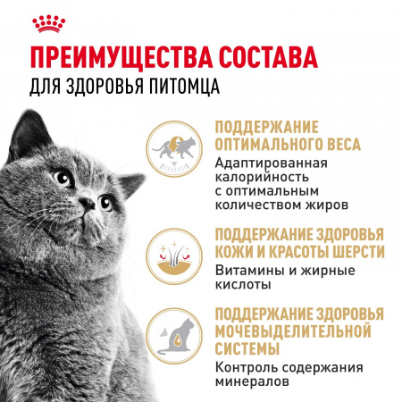 Влажный корм ROYAL CANIN British Shorthair Adult для взрослых британских короткошерстных кошек, кусочки в соусе, 85г