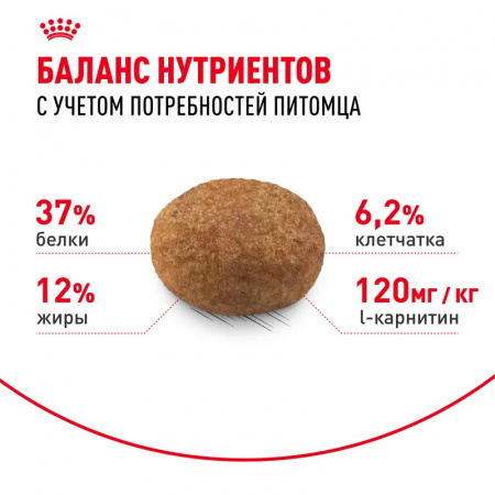 Сухой корм ROYAL CANIN Sterilised 37, для стерилизованных кошек и кастрированных котов, 2 кг