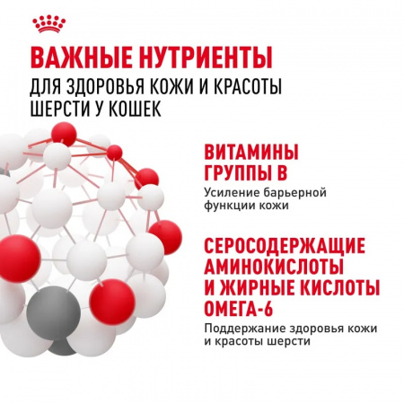 Влажный корм ROYAL CANIN Hair & Skin care для взрослых кошек для здоровья кожи и красоты шерсти, тонкие ломтики в соусе, 85г