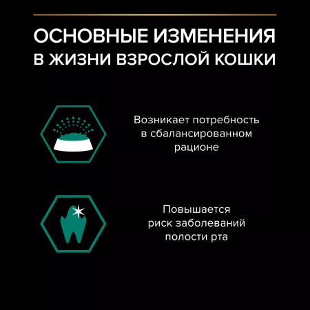 Влажный корм Purina PRO PLAN для взрослых кошек, с курицей в соусе, 85г