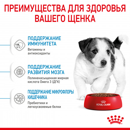 Сухой корм ROYAL CANIN Mini Puppy, для щенков мелких пород, 800г.