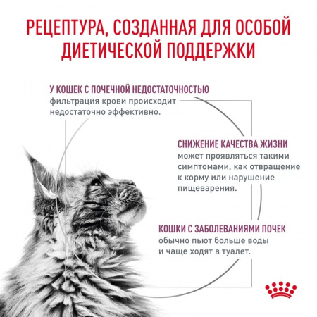 Влажный корм ROYAL CANIN Ренал для взрослых кошек, поддержание функции почек, с говядиной в соусе, 85г