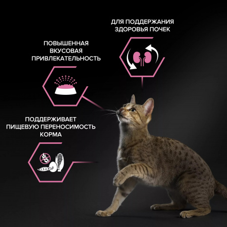 Сухой корм Purina PRO PLAN Delicate Digestion для кошек, с чувствительным пищеварением, с ягненком, 400 г