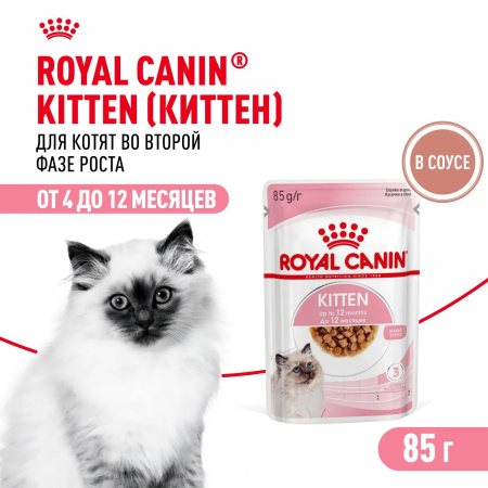 Влажный корм ROYAL CANIN Kitten, для котят в возрасте до 12 месяцев, кусочки в соусе, 85г