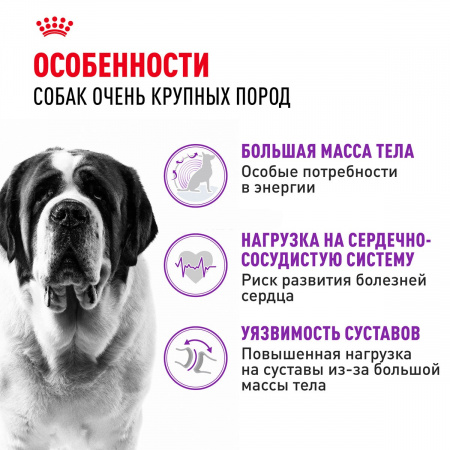 Сухой корм ROYAL CANIN GIANT ADULT для взрослых собак крупных пород, 15кг