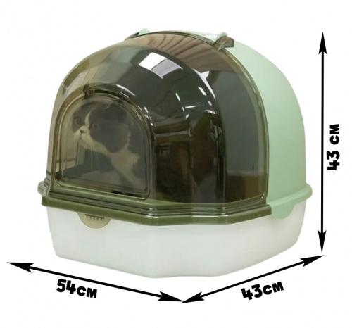 MSP-2023 (2)