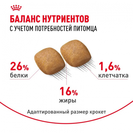 Сухой корм ROYAL CANIN Pomeranian Adult, для взрослых собак породы Померанский Шпиц 1.5кг