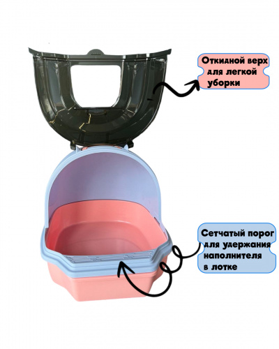 MSP-2025 (5)