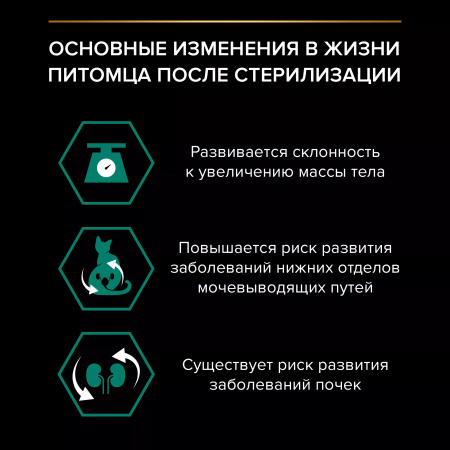 Влажный корм Purina PRO PLAN для взрослых стерилизованных кошек, с кроликом в соусе, 85г