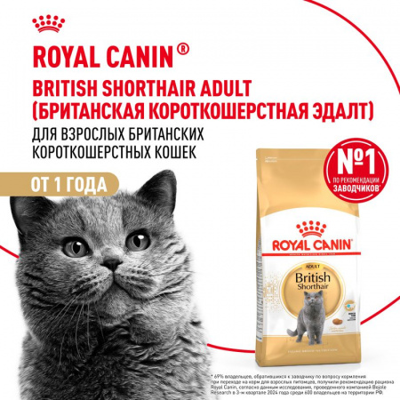 Сухой корм ROYAL CANIN British Shorthair Adult для для взрослых британских короткошерстных кошек старше 12 месяцев 10кг