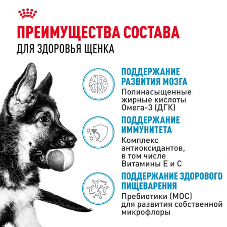 Влажный корм ROYAL CANIN Maxi Puppy для щенков крупных пород до 15 месяцев, кусочки в соусе, 100г
