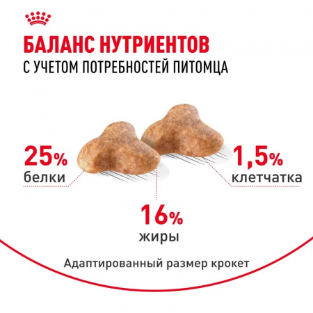 Сухой корм ROYAL CANIN Pug Adult, для взрослых собак породы Мопс от 10 месяцев, 1.5кг