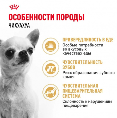Сухой корм ROYAL CANIN Chihuahua Adult, для взрослых собак породы Чихуахуа от 8 месяцев, 500г
