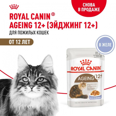 Влажный корм ROYAL CANIN Ageing 12+ для стареющих кошек в возрасте старше 12 лет, желе, 85г