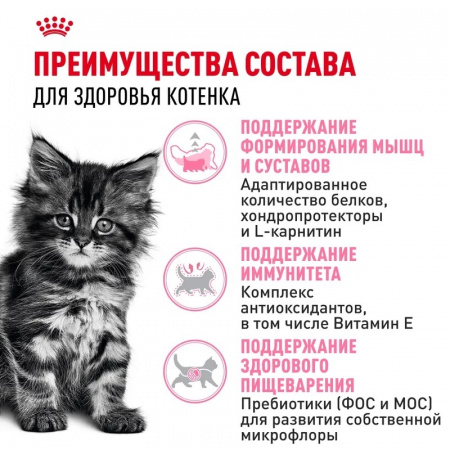 Сухой корм ROYAL CANIN Maine Coon Kitten, для котят породы Мэйн Кун, 400г.