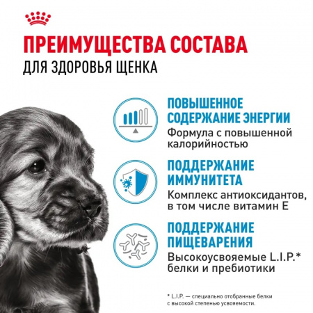 Влажный корм ROYAL CANIN Mini Puppy для щенков мелких пород в возрасте до 10 месяцев, кусочки в соусе 85г
