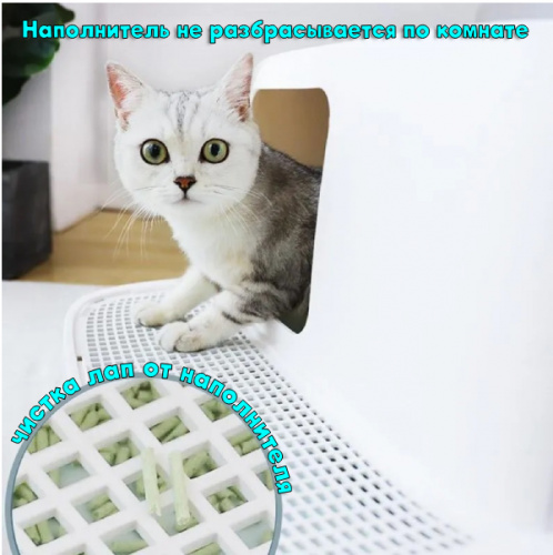 Новый проект (23)