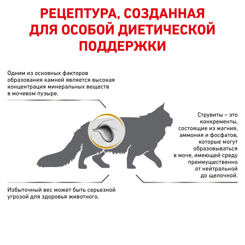 760e297e4bba11e980ee00155d331804_1f4442cb3fa811eb80f400155d331805