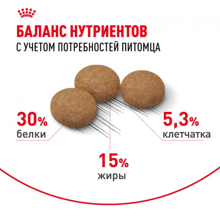 Сухой корм ROYAL CANIN Ageing Sterilised 12+для стерилизованных стареющих кошек в возрасте старше 12 лет, 4кг