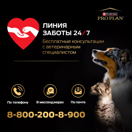 Сухой корм Purina PRO PLAN Everyday Nutrition для взрослых собак средних пород, с курицей, 3 кг