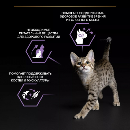 Влажный корм Purina PRO PLAN для котят, с курицей в желе, 85г