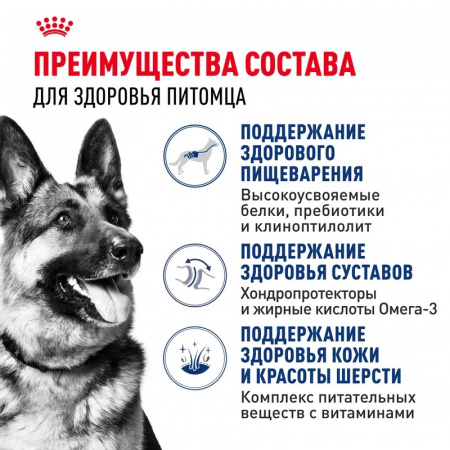 Сухой корм ROYAL CANIN Maxi Adult для собак крупных пород (весом от 26 до 44 кг) в возрасте от 15 месяцев до 5 лет, 15кг