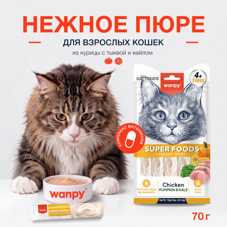 Лакомство Wanpy Cat для взрослых кошек, Нежное пюре из курицы с тыквой и кейлом, 70г
