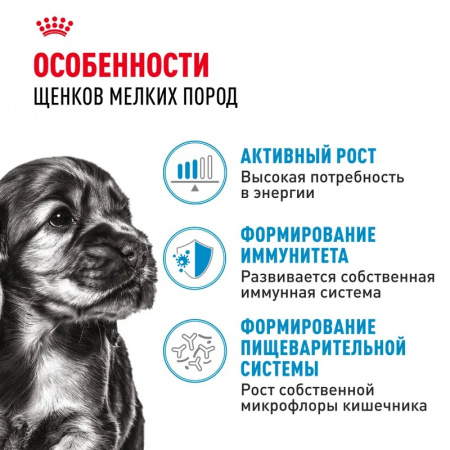 Влажный корм ROYAL CANIN Mini Puppy для щенков мелких пород в возрасте до 10 месяцев, кусочки в соусе 85г