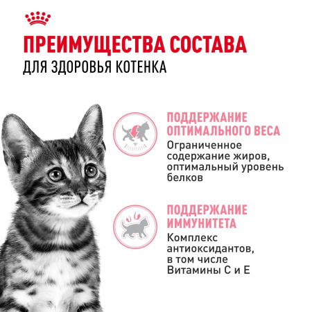 Влажный корм ROYAL CANIN Kitten Sterilised для кастрированных и стерилизованных котят в возрасте от 6 до 12 месяцев, кусочки в соусе, 85г