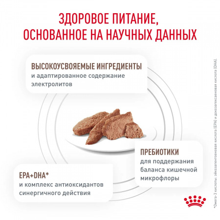 Влажный корм ROYAL CANIN Gastrointestinal для взрослых собак, при расстройствах пищеварения, паштет, 85г