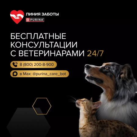 Сухой корм Purina PRO PLAN Sensitive Skin для щенков мелких и карликовых пород, с чувствительной кожей, с лососем, 3 кг