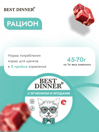 Влажный корм Best Dinner для щенков, паштет с ягненком и ягодами, 100г