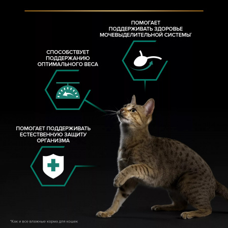 Влажный корм Purina PRO PLAN для взрослых стерилизованных кошек, с говядиной в соусе, 85г