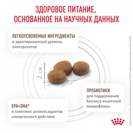 Сухой корм ROYAL CANIN Gastrointestinal Low Fat Small Dogs для взрослых собак мелких пород (до 10 кг) при нарушениях пищеварения 1кг
