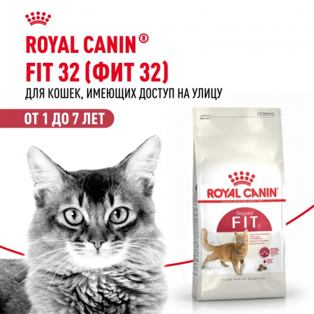 Сухой корм ROYAL CANIN FIT-32, для взрослых кошек с умеренной активностью, имеющих доступ на улицу, 200г
