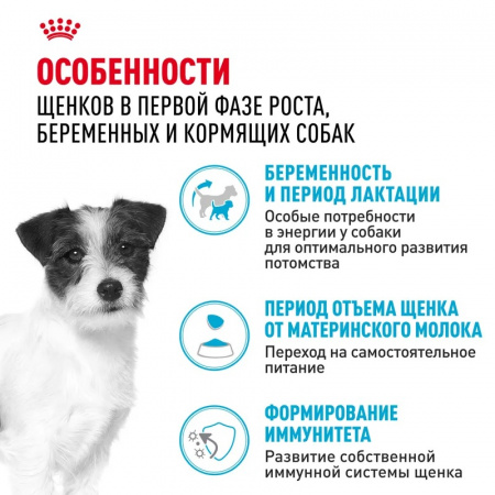 Сухой корм ROYAL CANIN Mini Starter для щенков мелких (вес взрослой собаки от 1 до 10 кг) пород до 2 мес, а также для собак крупных пород в конце беременности и в период лактации 3кг