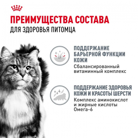 Влажный корм ROYAL CANIN Hair & Skin care для взрослых кошек для здоровья кожи и красоты шерсти, тонкие ломтики в соусе, 85г