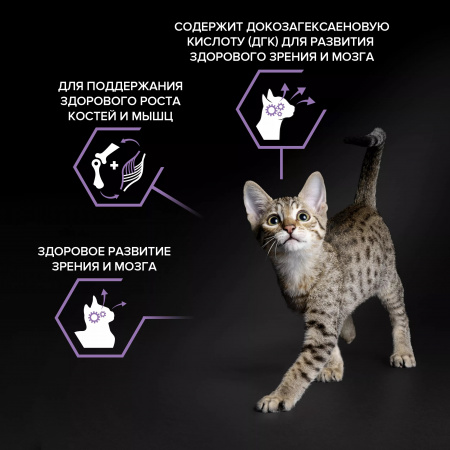 Сухой корм Purina PRO PLAN Healthy Start для котят, с курицей, 1,5 кг